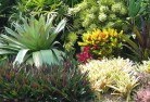 Revesby Heightsplanting-garden-and-landscape-design-24.jpg; ?>